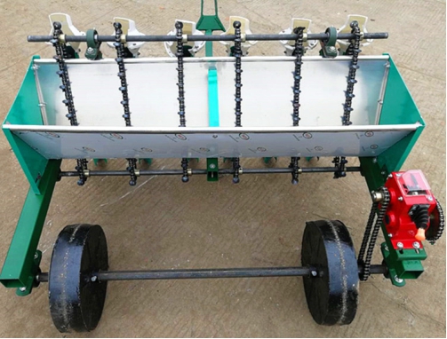 Garlic Planter
