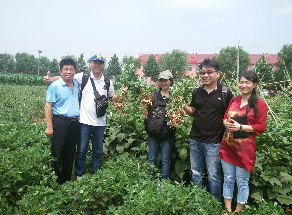 Thailand customer visiting and order peanut harvester